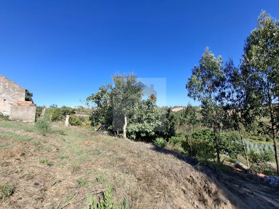 Terreno para Venda em Salir de Matos Foto 31