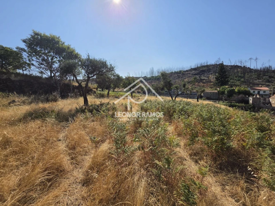 Moradia T1 para Venda em São Vicente da Beira Foto 9