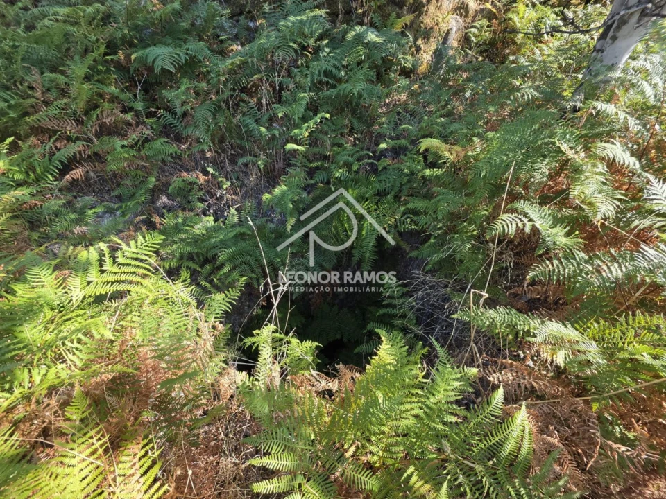 Moradia T1 para Venda em São Vicente da Beira Foto 28