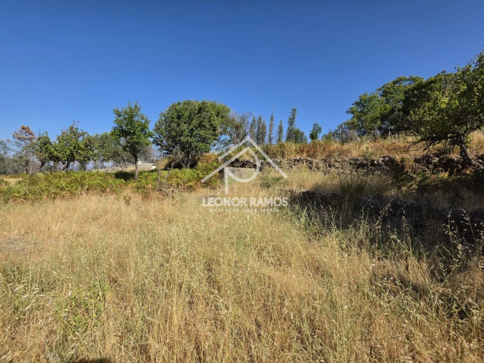 Moradia T1 para Venda em São Vicente da Beira Foto 20