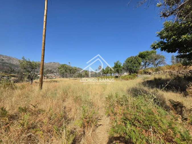 Moradia T1 para Venda em São Vicente da Beira Foto 2