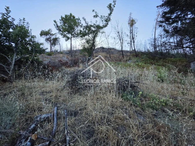 Moradia T1 para Venda em São Vicente da Beira Foto 26