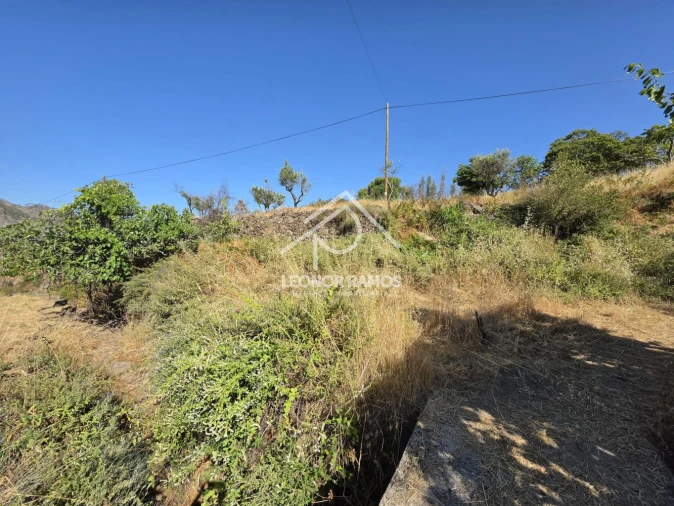 Moradia T1 para Venda em São Vicente da Beira Foto 21