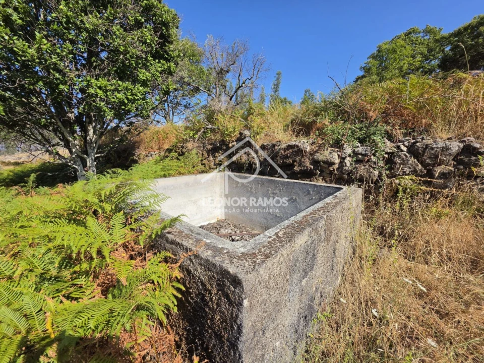 Moradia T1 para Venda em São Vicente da Beira Foto 18