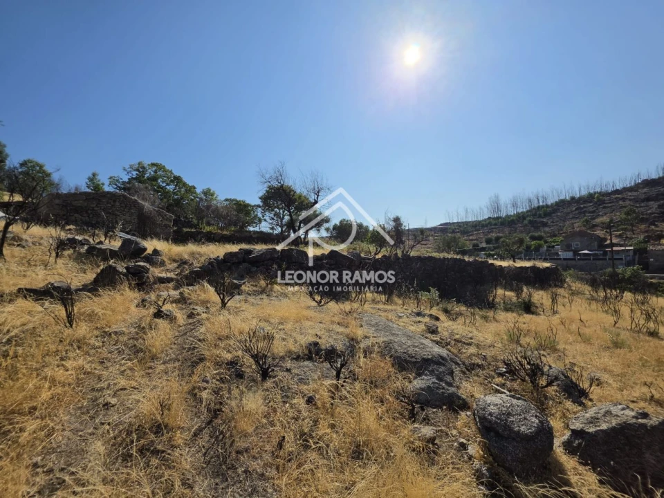 Moradia T1 para Venda em São Vicente da Beira Foto 4