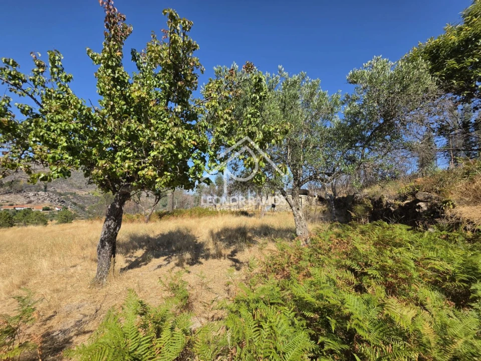 Moradia T1 para Venda em São Vicente da Beira Foto 13
