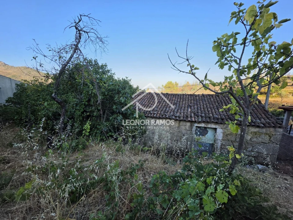 Moradia T1 para Venda em São Vicente da Beira Foto 25