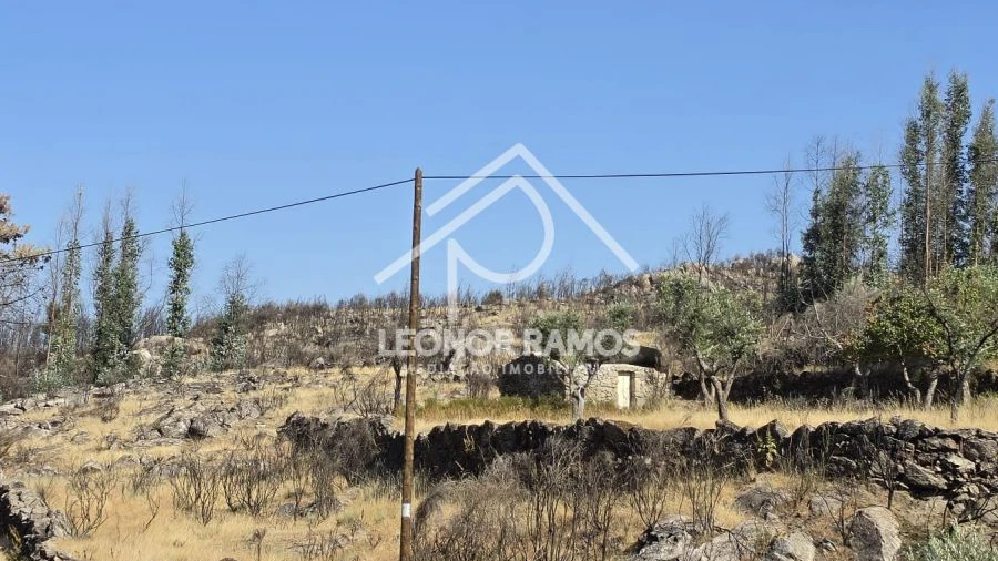 Moradia T1 para Venda em São Vicente da Beira