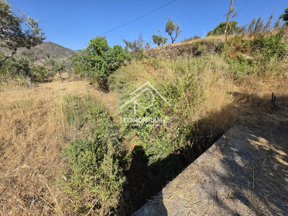 Moradia T1 para Venda em São Vicente da Beira Foto 22