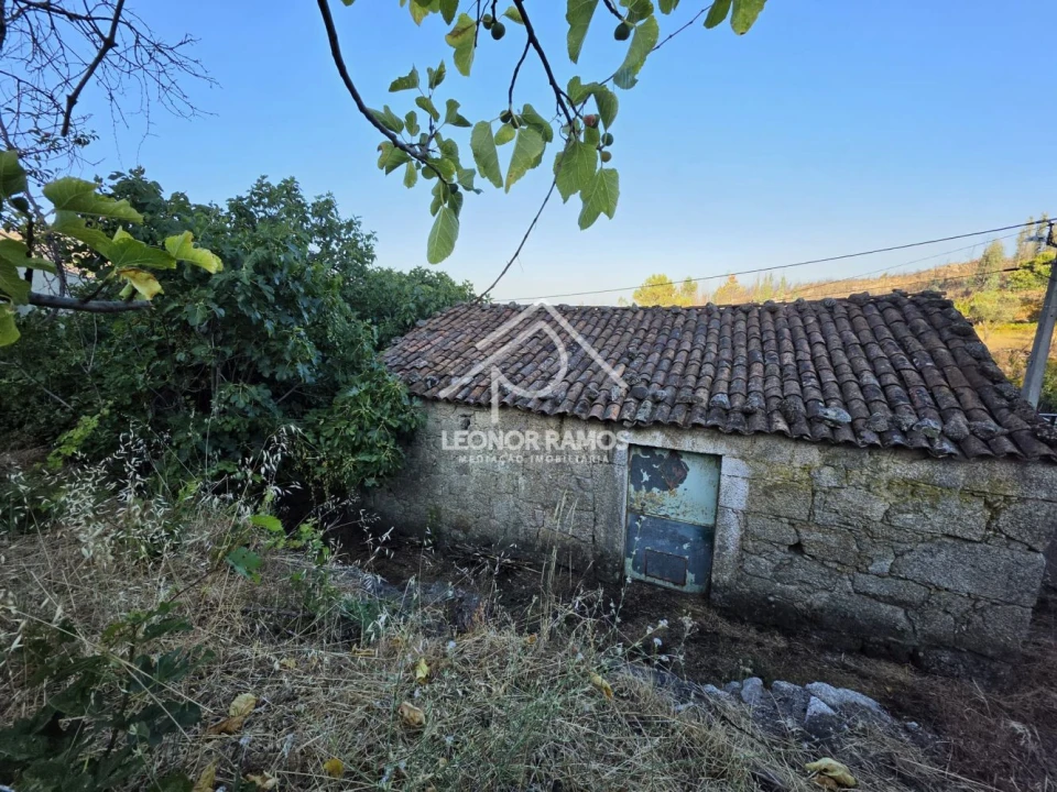 Moradia T1 para Venda em São Vicente da Beira Foto 27