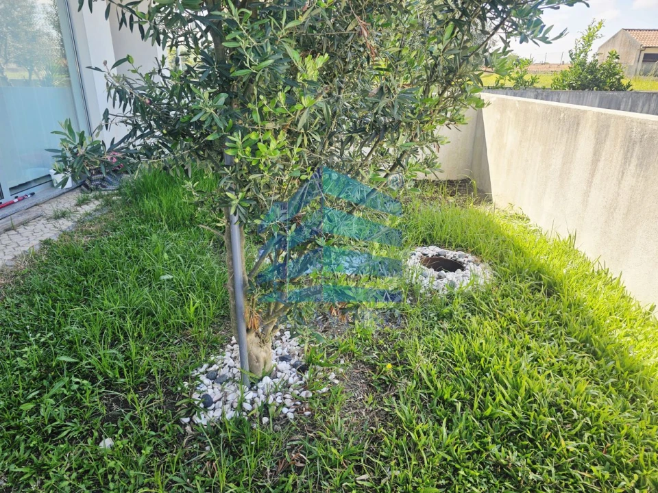 Moradia T3 para Venda em São Bernardo Foto 1