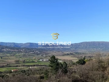 Terreno para Venda em Belmonte e Colmeal da Torre
