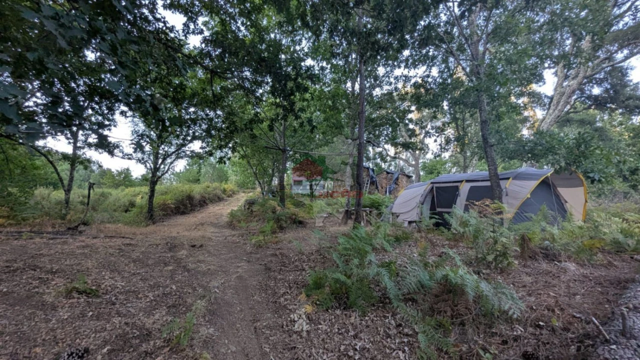 Quinta para Venda em Pedrogão Grande Foto 11