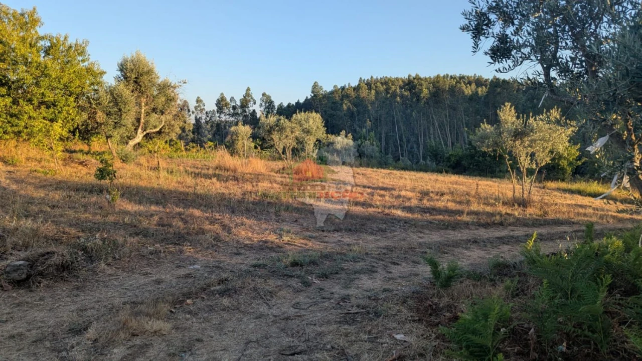 Quinta para Venda em Pedrogão Grande Foto 2