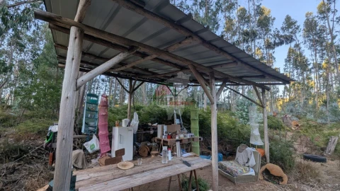 Quinta para Venda em Pedrogão Grande