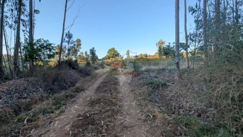 Quinta para Venda em Pedrogão Grande