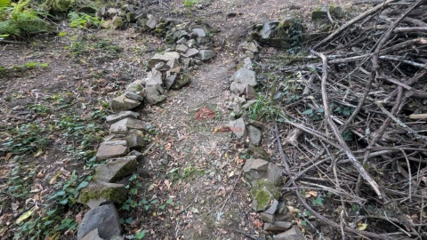 Quinta para Venda em Pedrogão Grande