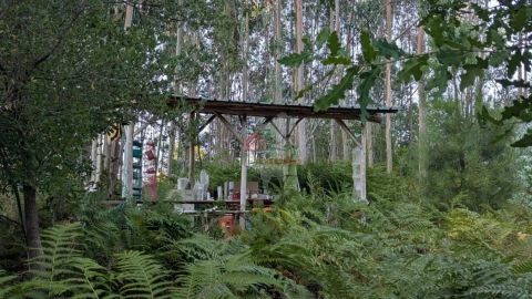 Quinta para Venda em Pedrogão Grande