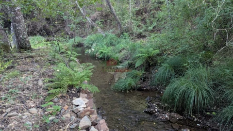 Quinta para Venda em Pedrogão Grande