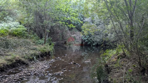 Quinta para Venda em Pedrogão Grande