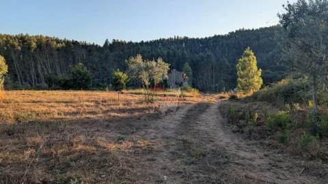 Quinta para Venda em Pedrogão Grande