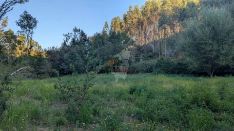 Quinta para Venda em Pedrogão Grande