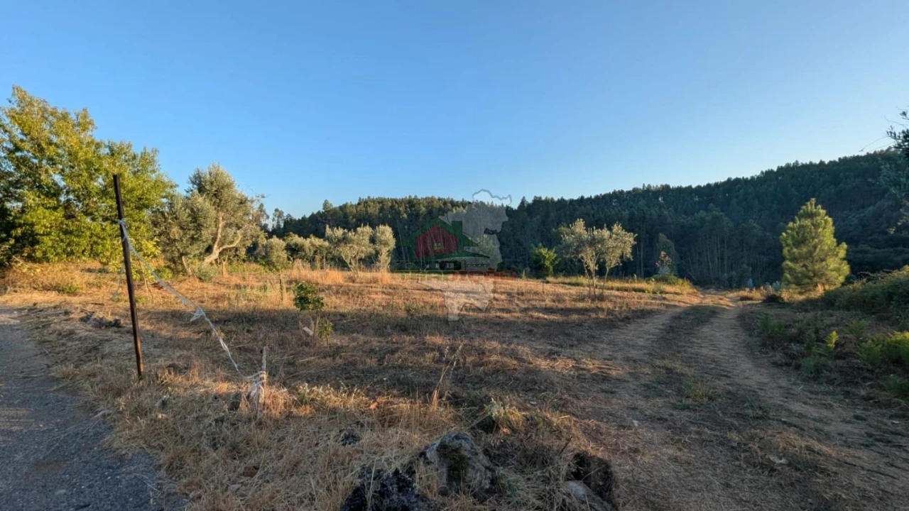 Quinta para Venda em Pedrogão Grande Foto 4