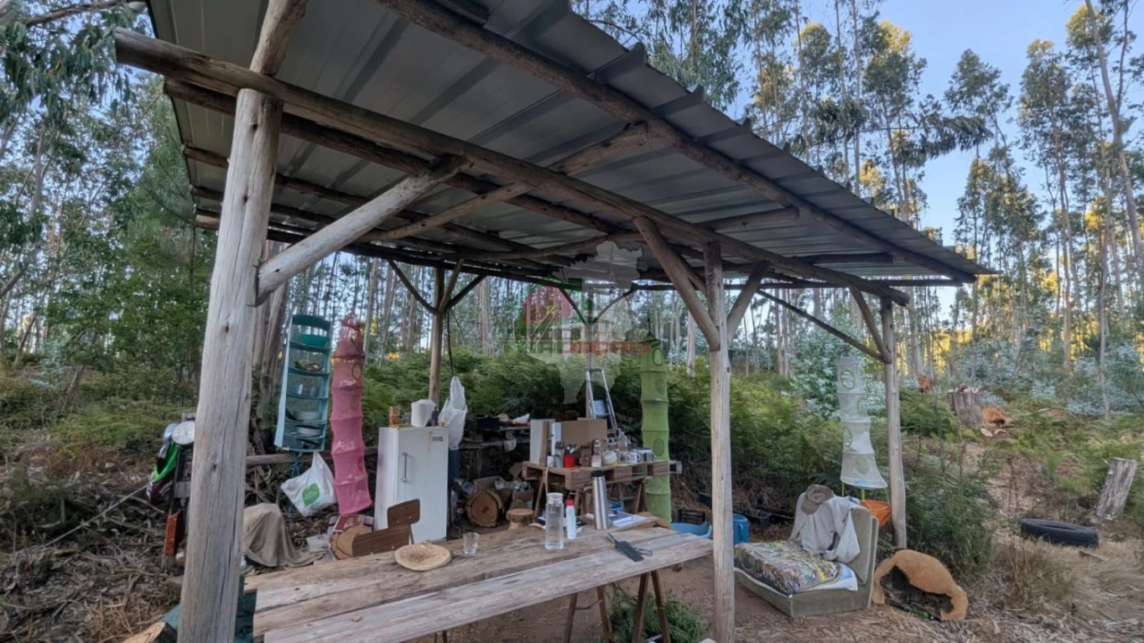 Quinta para Venda em Pedrogão Grande Foto 7