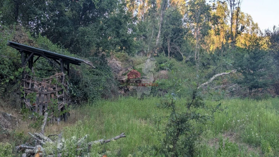 Quinta para Venda em Pedrogão Grande Foto 17