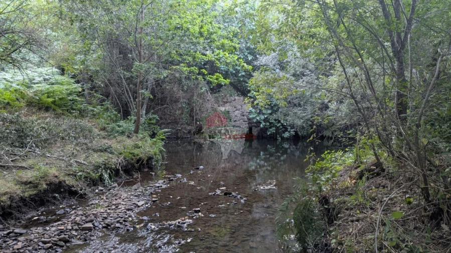 Quinta para Venda em Pedrogão Grande Foto 24