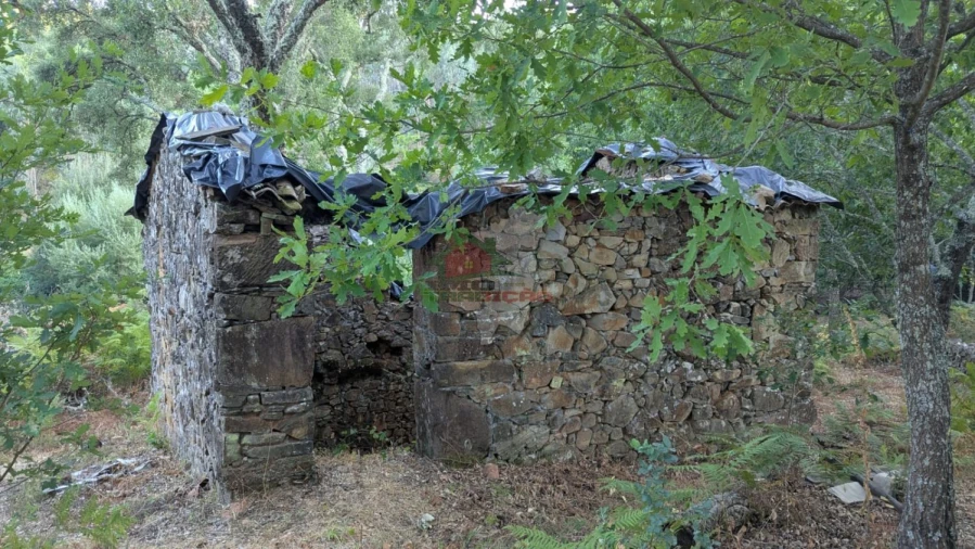 Quinta para Venda em Pedrogão Grande Foto 23