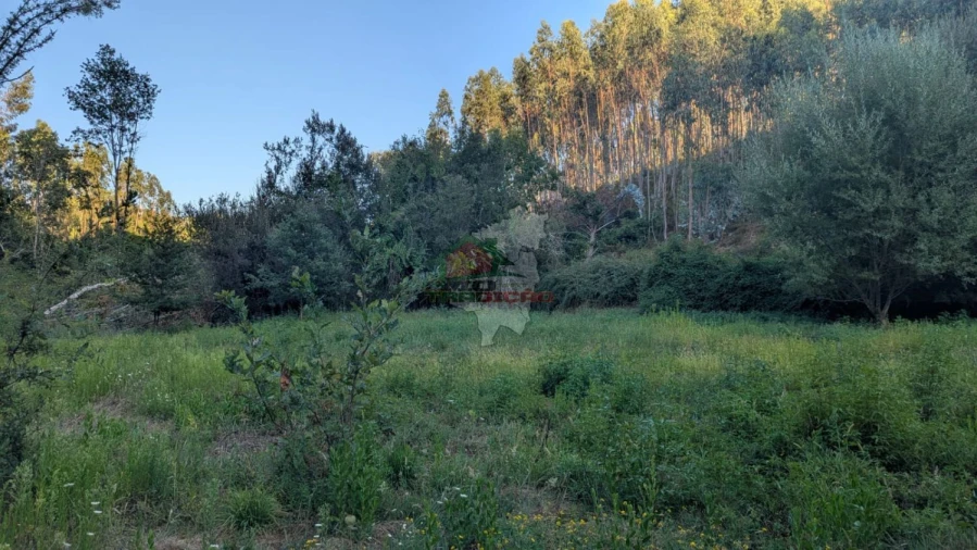 Quinta para Venda em Pedrogão Grande Foto 18