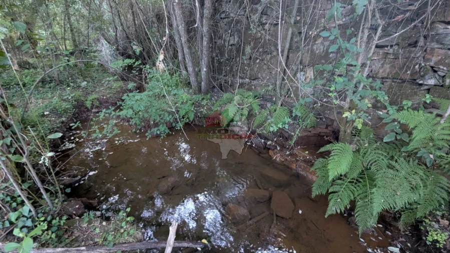 Quinta para Venda em Pedrogão Grande Foto 15