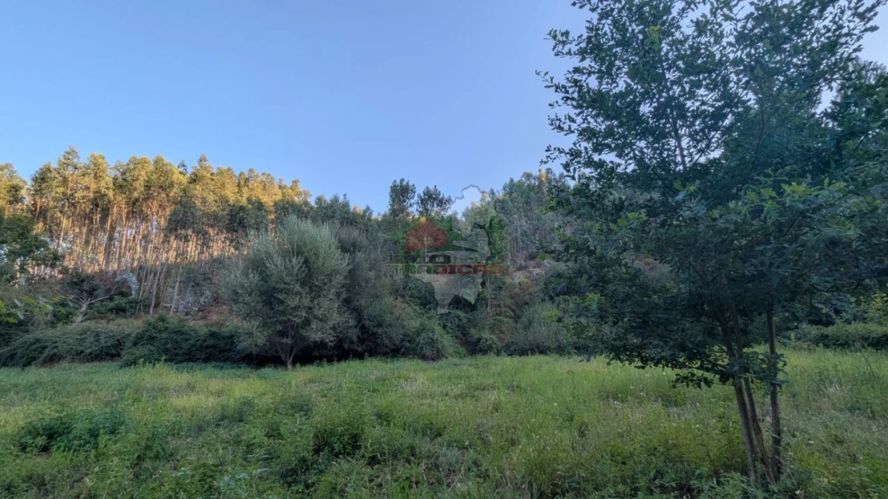 Quinta para Venda em Pedrogão Grande Foto 16
