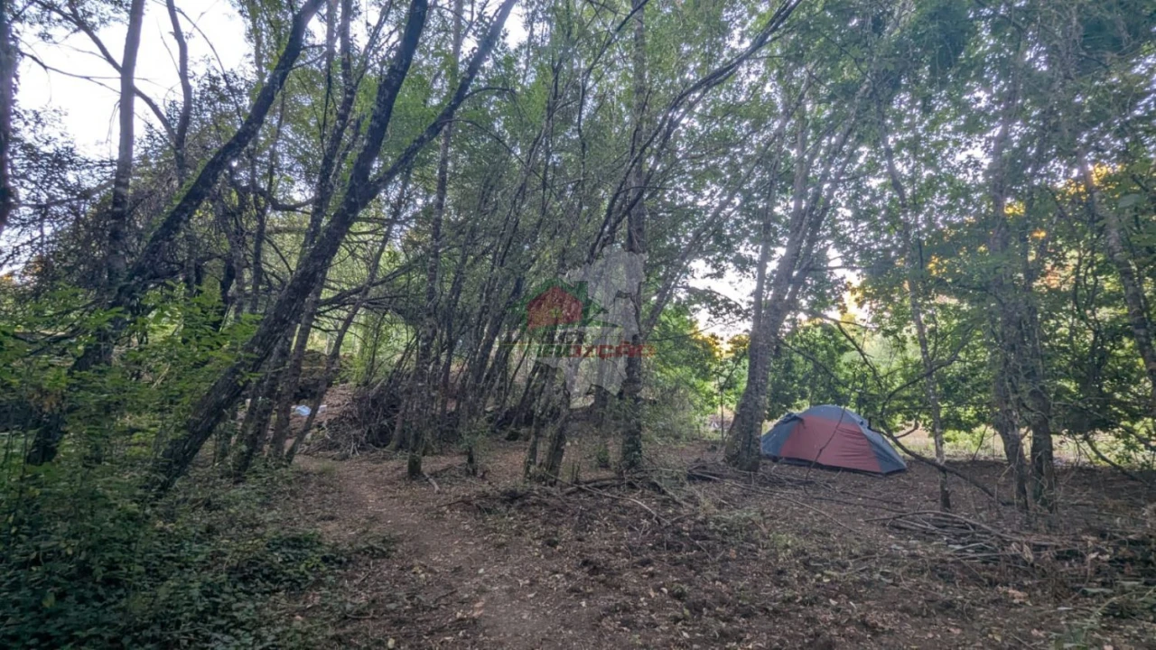 Quinta para Venda em Pedrogão Grande Foto 14