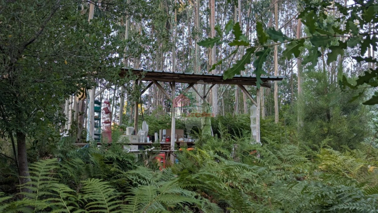 Quinta para Venda em Pedrogão Grande Foto 9