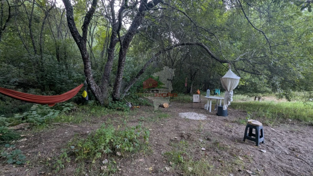 Quinta para Venda em Pedrogão Grande Foto 22