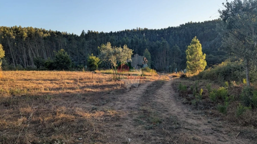Quinta para Venda em Pedrogão Grande