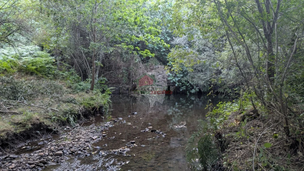 Quinta para Venda em Pedrogão Grande Foto 24