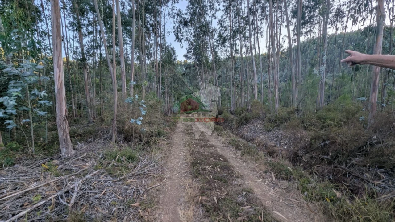 Quinta para Venda em Pedrogão Grande Foto 5