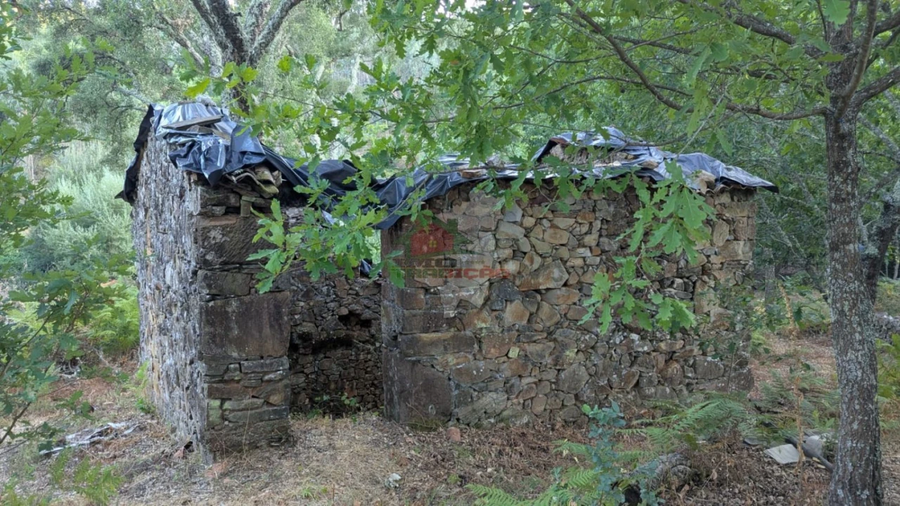 Quinta para Venda em Pedrogão Grande Foto 23