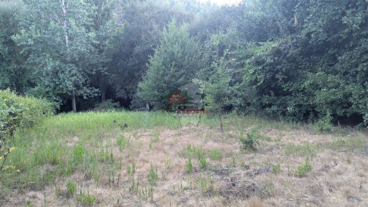 Quinta para Venda em Pedrogão Grande Foto 19