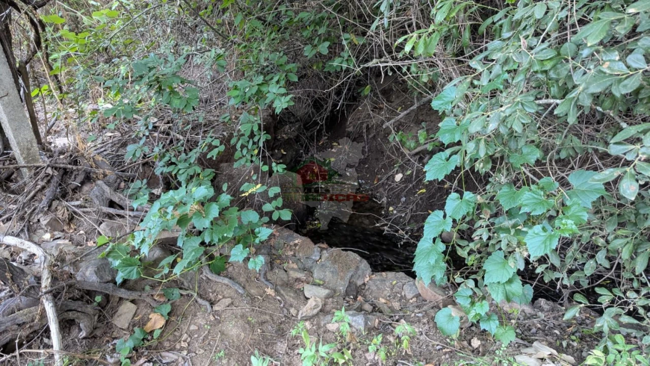 Quinta para Venda em Pedrogão Grande Foto 20