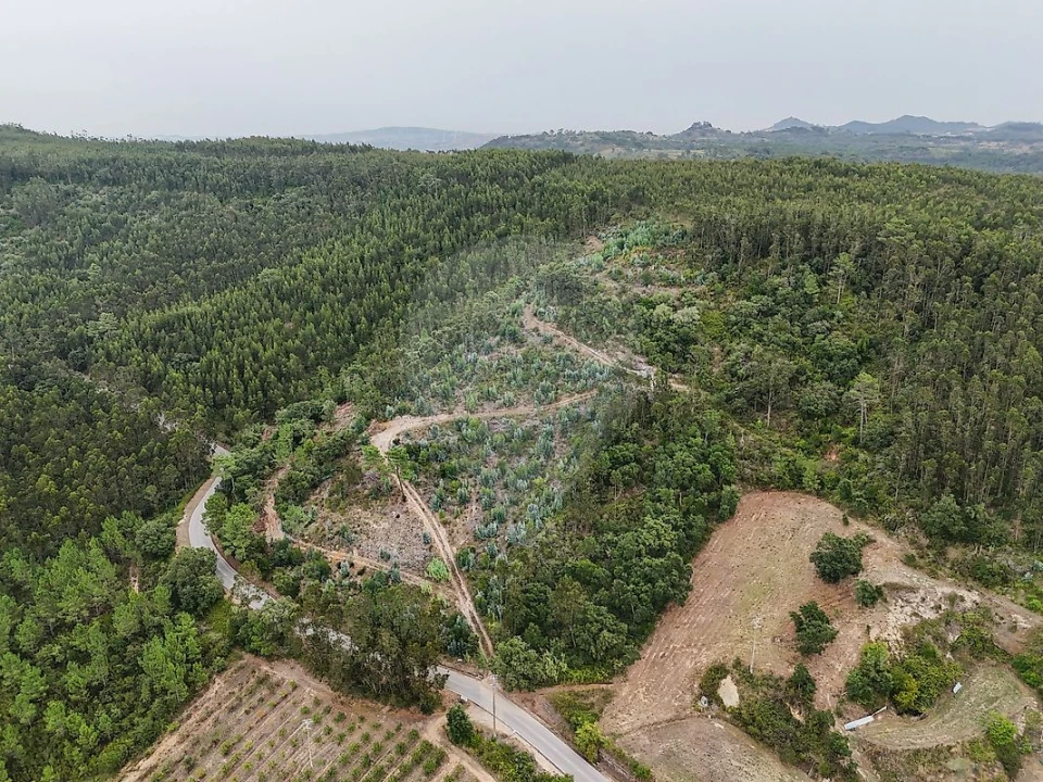 Terreno para Venda em Azueira e Sobral da Abelheira Foto 5