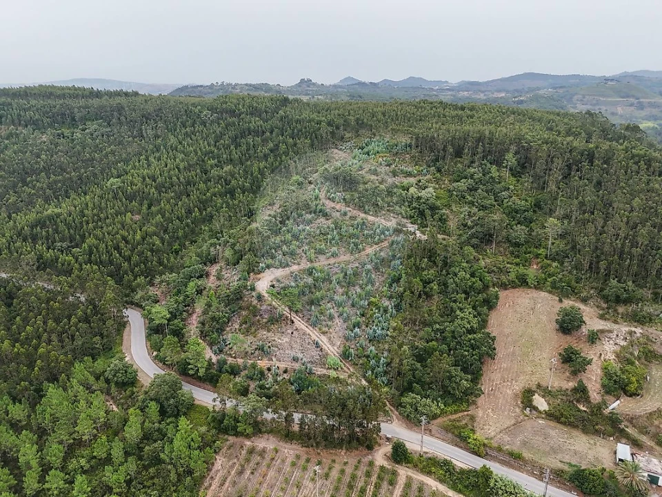 Terreno para Venda em Azueira e Sobral da Abelheira Foto 2