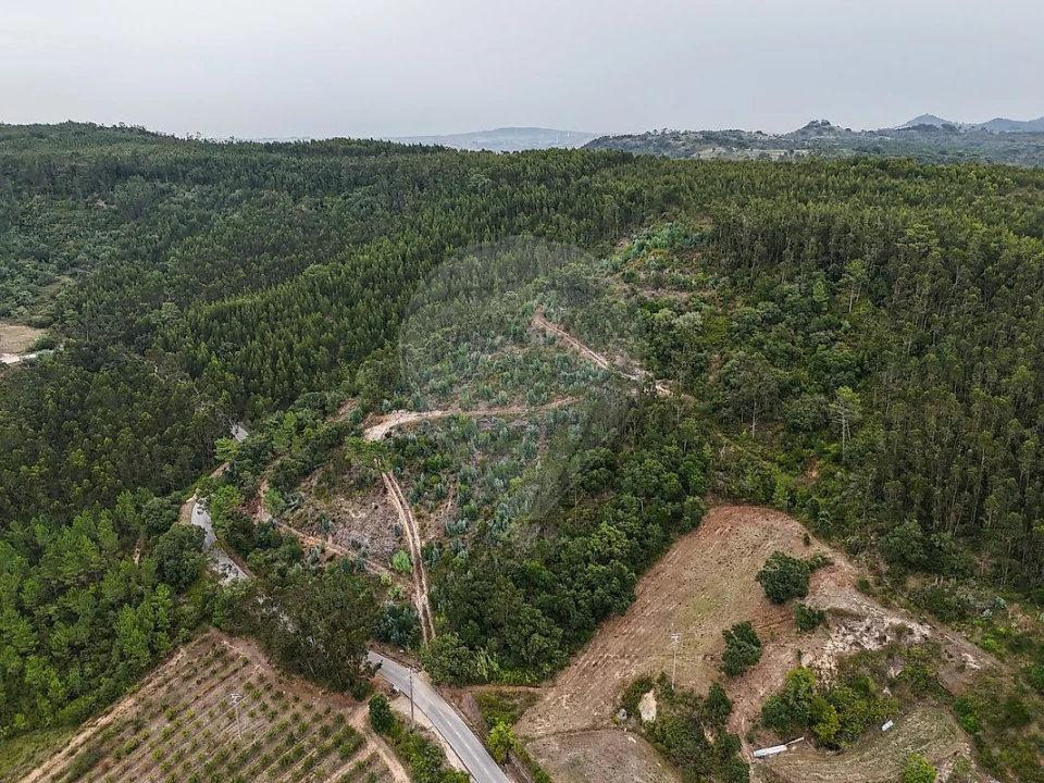 Terreno para Venda em Azueira e Sobral da Abelheira Foto 1