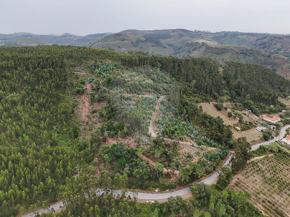 Terreno para Venda em Azueira e Sobral da Abelheira Foto 7