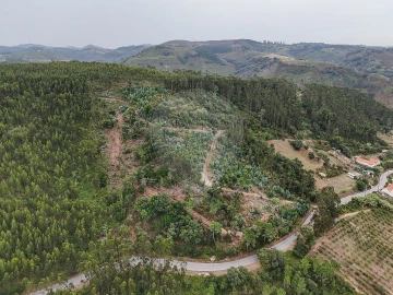 Terreno para Venda em Azueira e Sobral da Abelheira