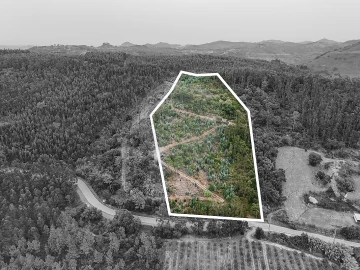 Terreno para Venda em Azueira e Sobral da Abelheira