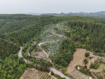 Terreno para Venda em Azueira e Sobral da Abelheira